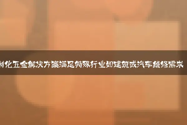 定制化五金解决方案满足特殊行业如建筑或汽车维修需求